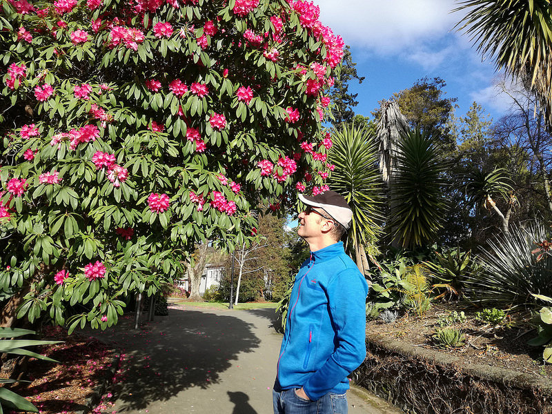 Michael with Rhododendron tree