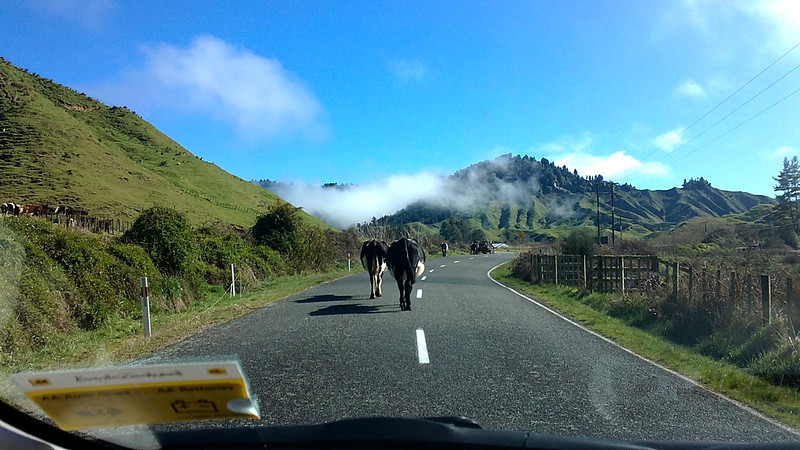 The Travelling New Zealand Specialist Travel Agent - off the beaten track
