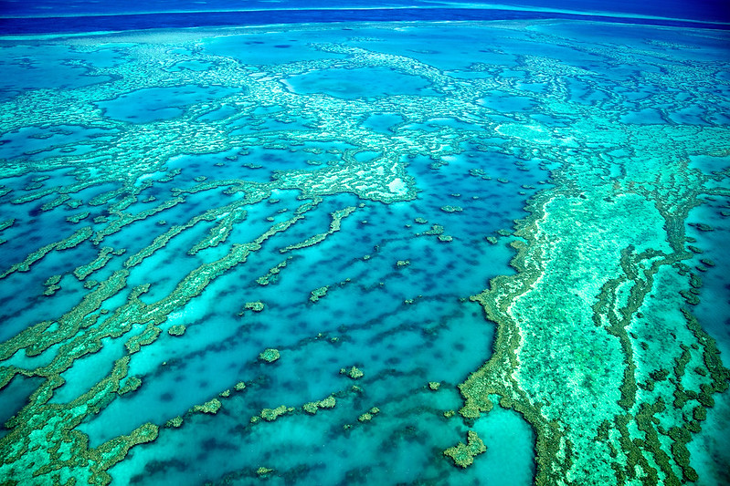 Snorkelling and Diving Great Barrier Reef for Honeymooners.