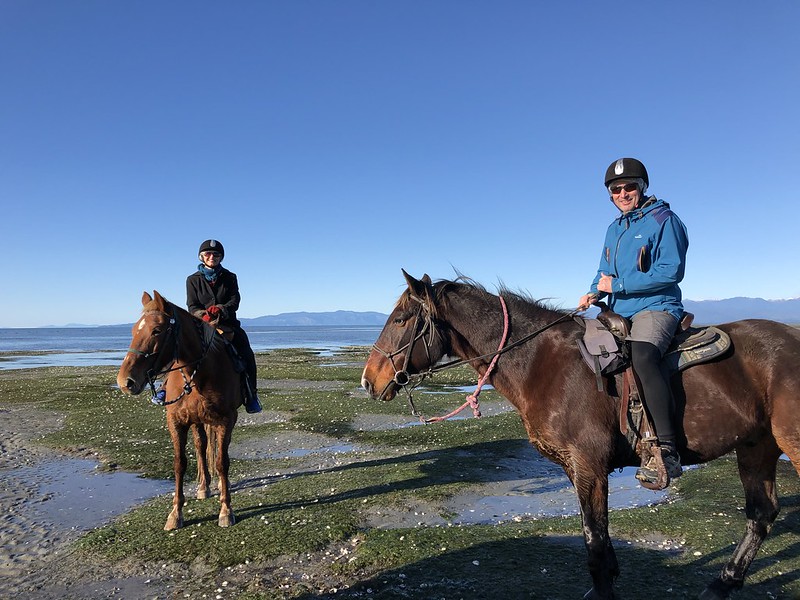 Cape Farewell Horse Trekking Tour in the Golden Bay
