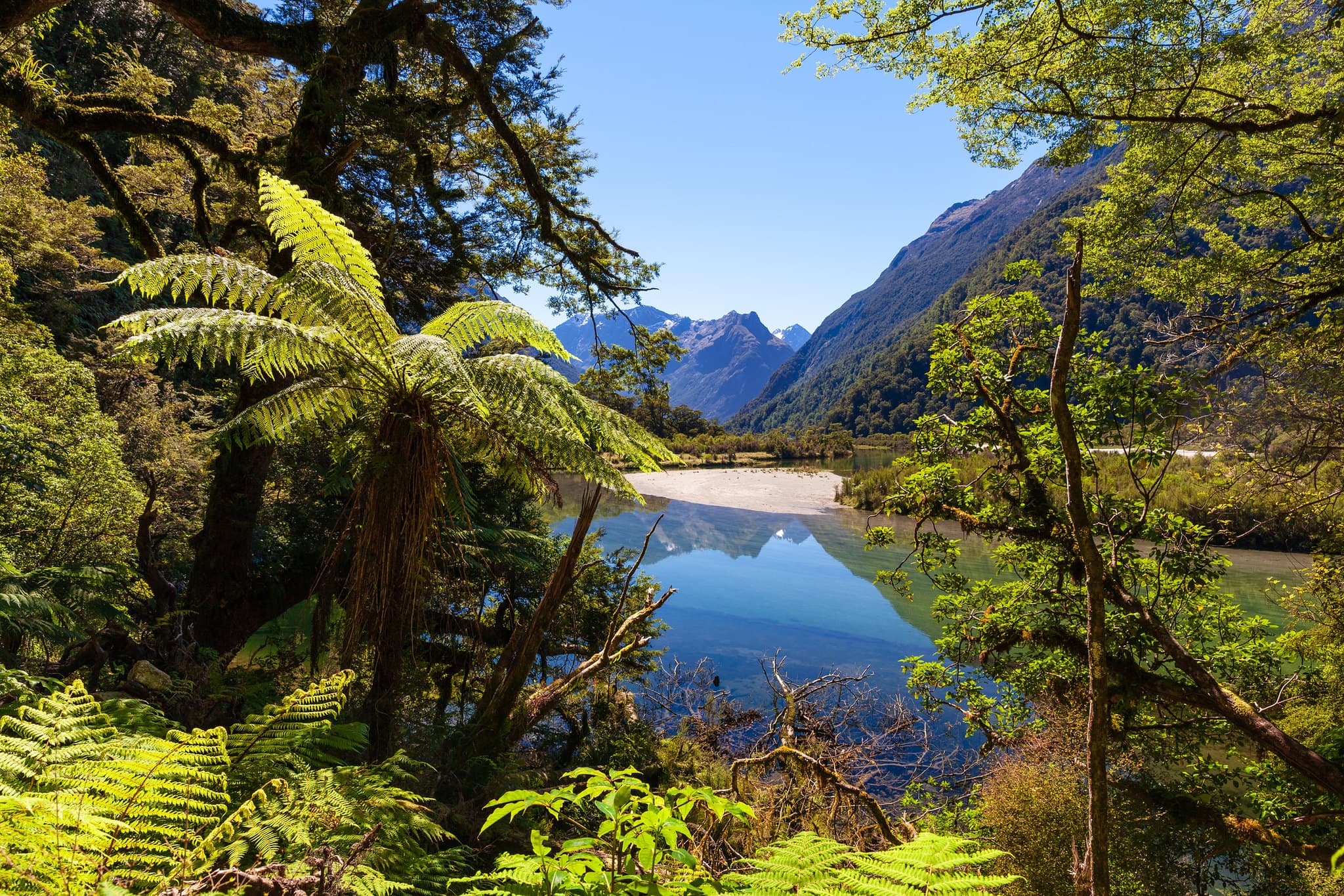 Iconic New Zealand landscape