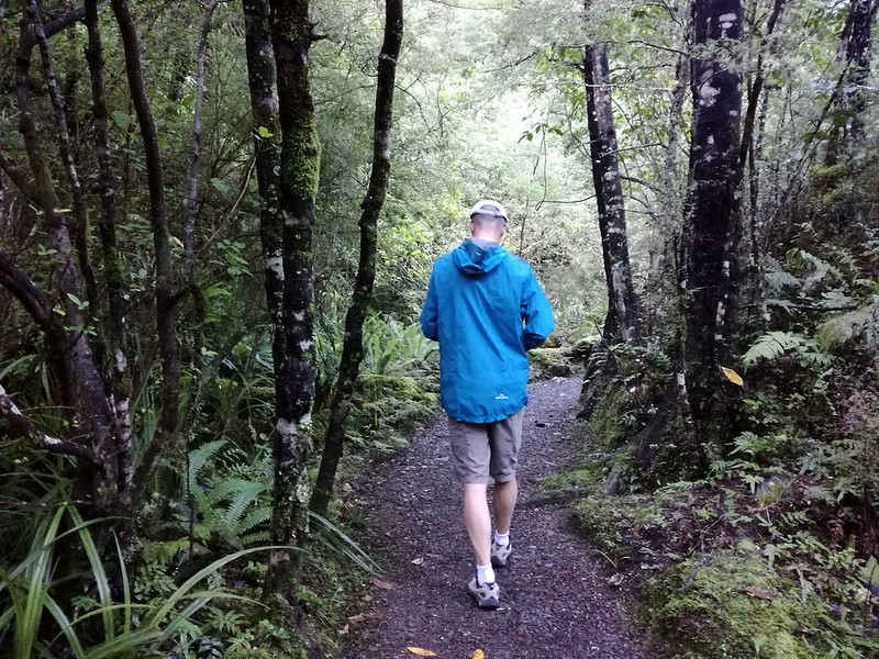 Travel Hints for a New Zealand Vacation - Forest Walk near Staveley North Canterbury