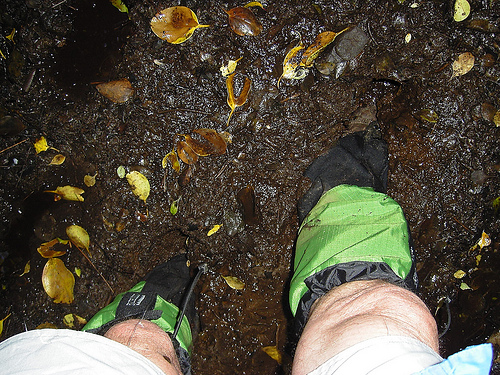 Stewart Island tramping