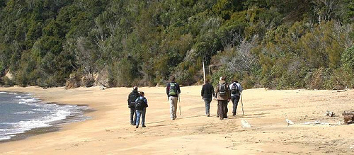 Ulva Island Guided Walks2