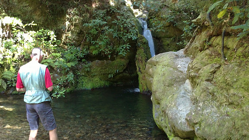 Pelorus Bridge Scenic reserve waterfall