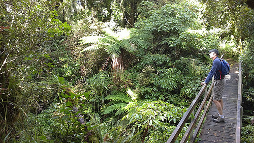 Mt Taranaki Walk Michael on bridge