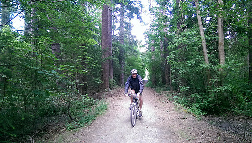 Hanmer Springs Mountain biking