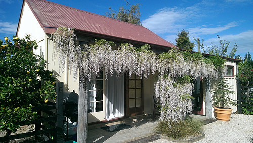 Tasman Village Cottage