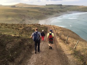 Otago Peninsula coastal walk