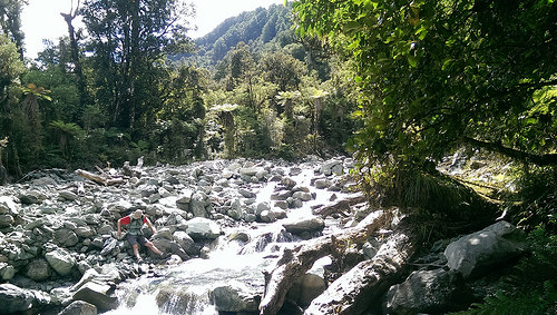 Hollyford Valley Michael among stones