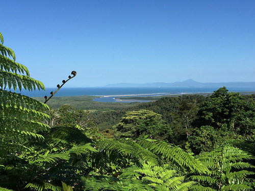 Australia vacation - Daintree Forest to Coral Sea