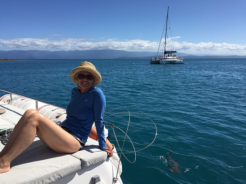 Snorkelling Great Barrier Reef from Port Douglas - Sailaway luxury cruises