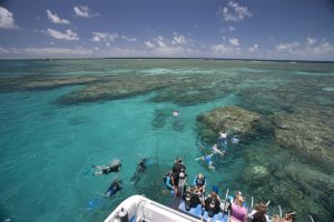 Snorkelling Great Barrier Reef Port Douglas