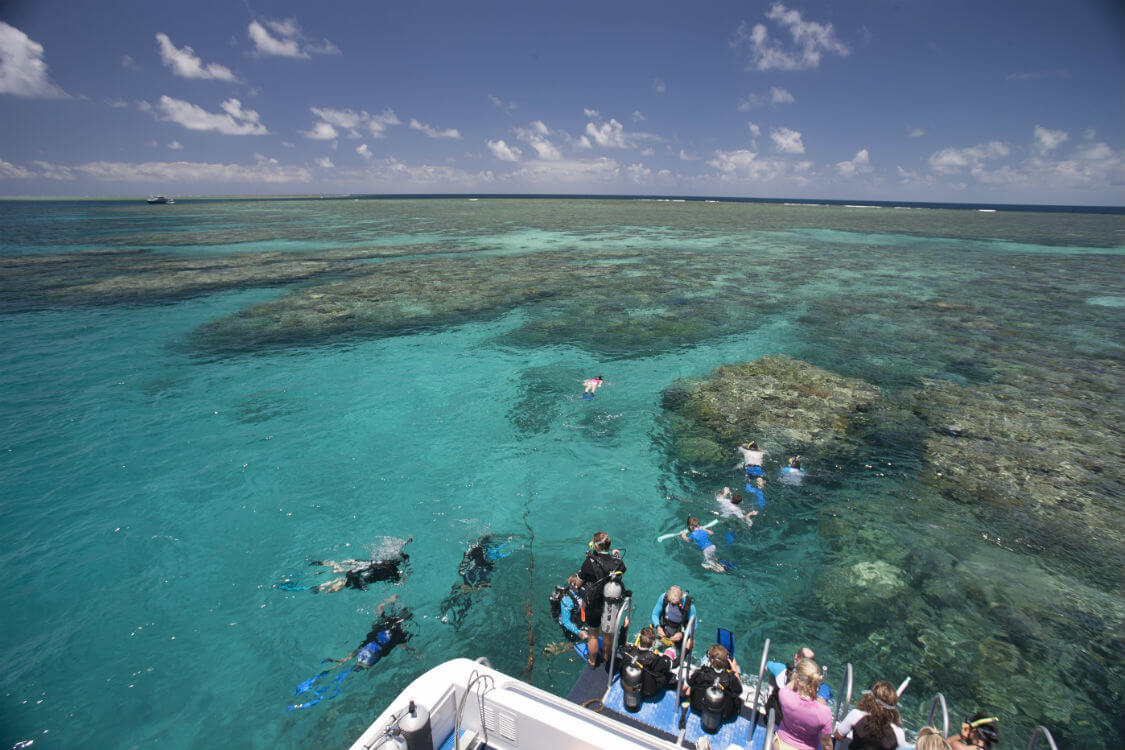 snorkelling spectacular great barrier reef - Guest New Zealand