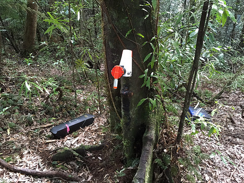 Canopy Tours Stoat traps