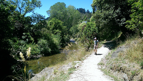 Bridges Walk