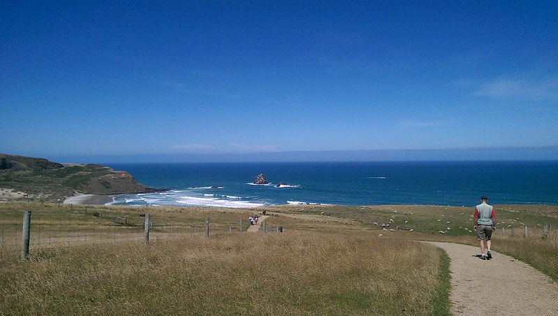 Dunedin Tunnel Beach Walking Track and Sandfly Bay