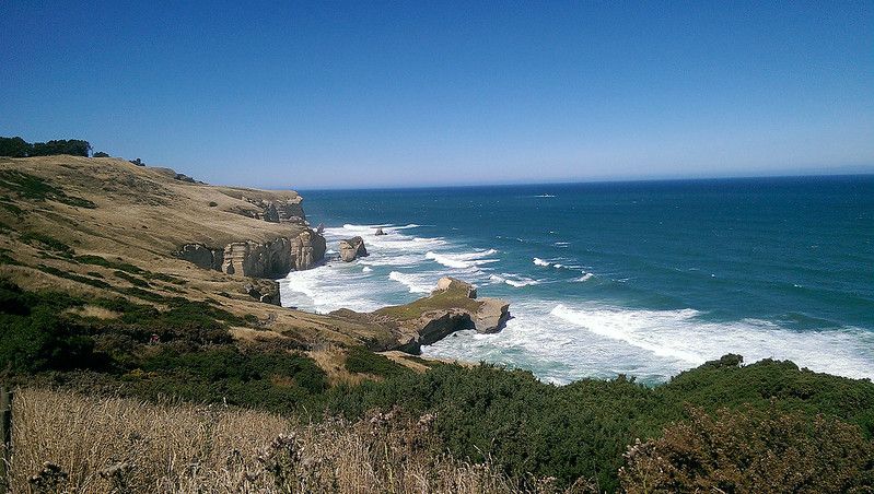 Dunedin Tunnel Beach Walking Track - coastal track