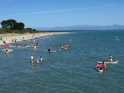 Waitangi Day Paddleboard