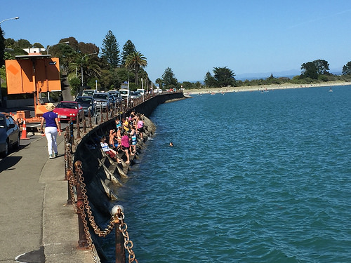 Waitangi Day people