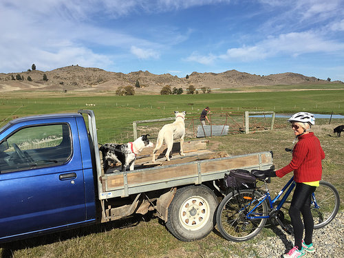 Central Otago cycle trail