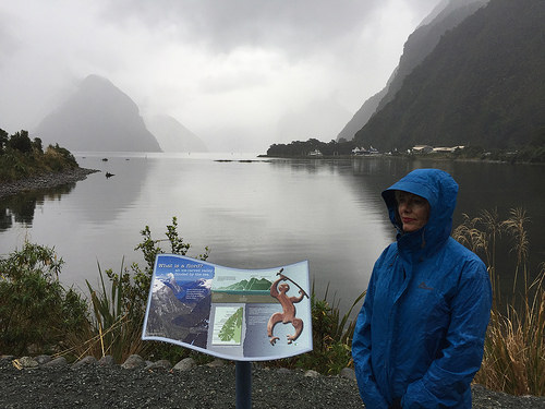 Milford Sound Lodge3