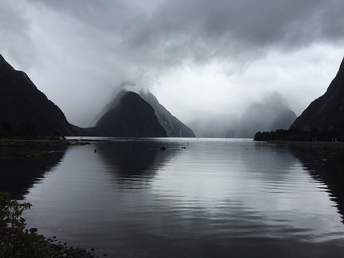 Milford Sound scene