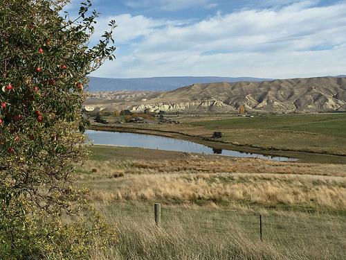 Otago Cycle Trail apples