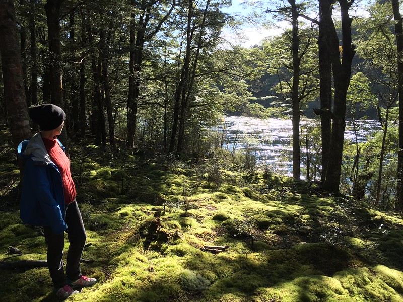 Kepler Track Te Anau walk - going pass the Wairau River