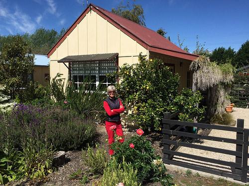 Tasman Village cottage front