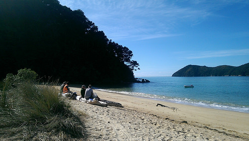 Apple Tree Bay volunteers