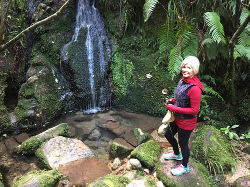 Apple Tree Bay waterfall