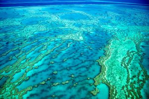 Snorkelling and Diving Great Barrier Reef