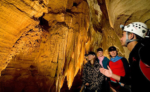 waitomo-caves-ruakuri2