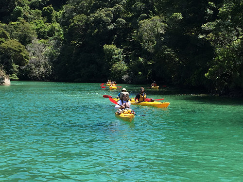 Abel Tasman Eco Tour