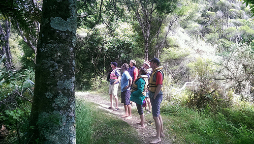 abel-tasman-eco-tours-forest-walk