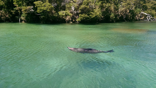 abel tasman eco tours nz