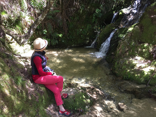 Abel Tasman Eco Tours