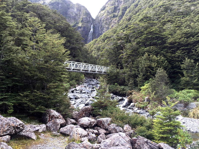 Nelson to West Coast self drive touring route - native bush