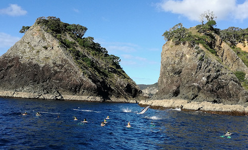 Kerikeri accommodation options - Paihia Dolphin Encounter