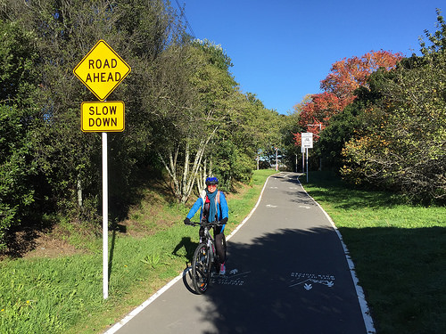 Electric assist bicycles (e-Bikes) New Zealand cycle trails