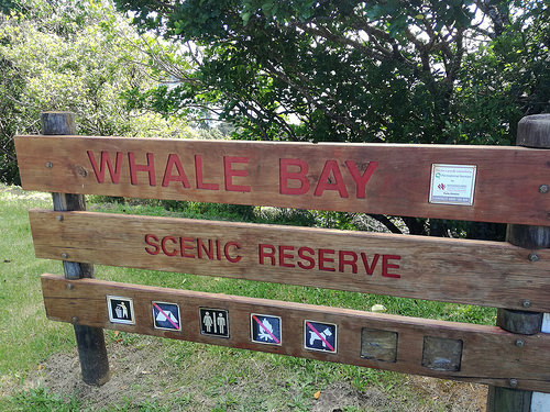 Whale Bay Scenic Reserve