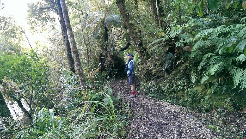 Karamea and Oparara Arch Track