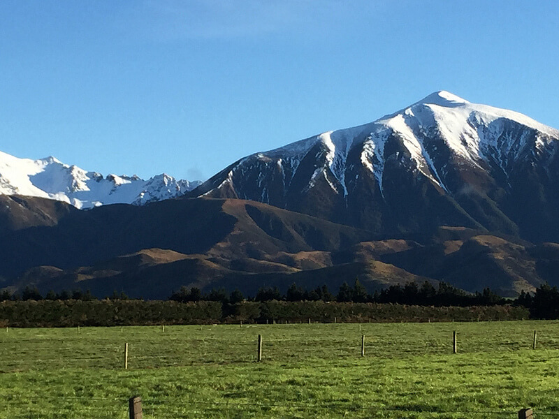 Day trip to Arthur's Pass from Christchurch