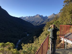 travelling into milford sound with view points