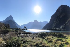 milford sound on a fine day in june