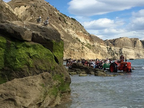 Cape Kidnappers eco tour