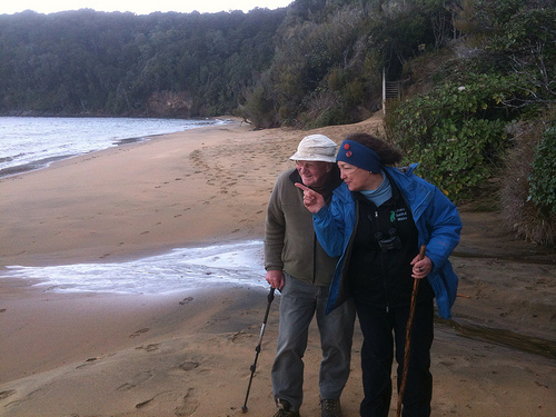 Ulva Island eco tour