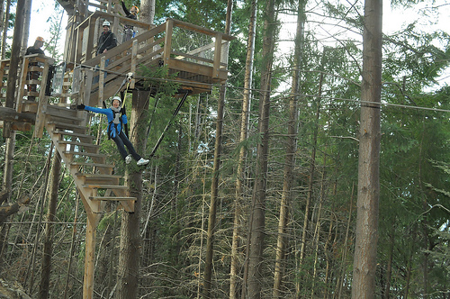 Ziptrek eco tours