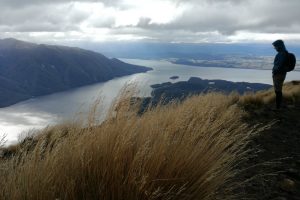 heli hiking kepler track with views